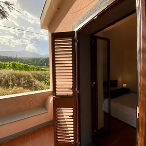 Tenuta Kiwi Dell'etna Milo